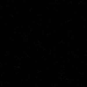 Meet your Posher, Lena